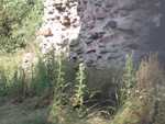 ruytoncastle 002.jpg