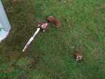 DSCF0035.JPG