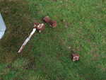 DSCF0036.JPG