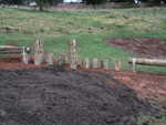 DSCF0040.JPG
