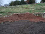 DSCF0042.JPG