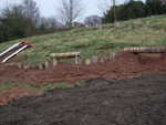 DSCF0043.JPG